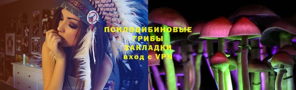 сатива Зерноград