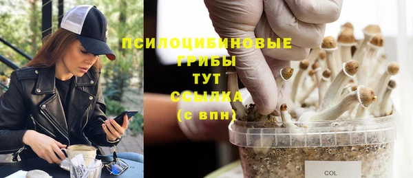 гидра Заволжск